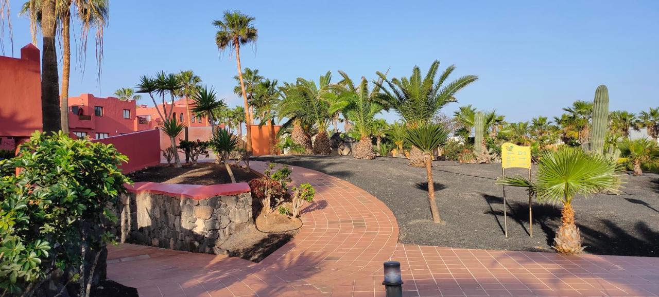 Small&Sunny Wifi Premium Vivienda Vacacional Corralejo Eksteriør bilde